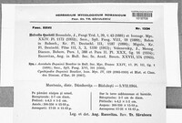 Paxina queletii image